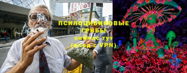 ГАЛЛЮЦИНОГЕННЫЕ ГРИБЫ Заволжск