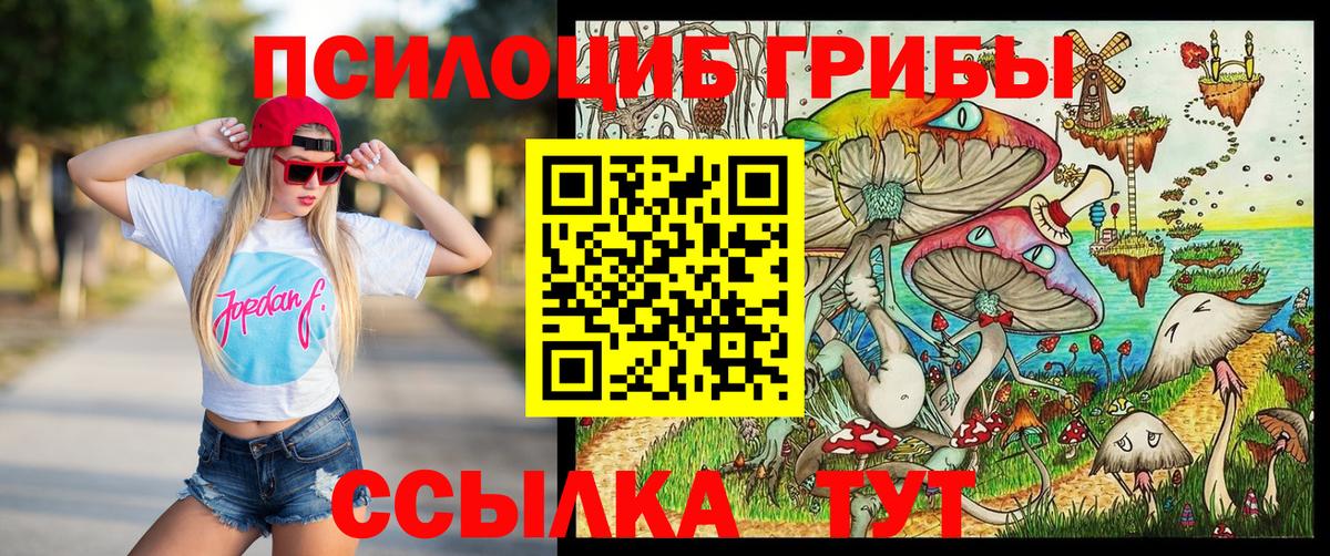 Галлюциногенные грибы Cubensis  Вход с VPN  Галлюциногенные грибы мицелий  Новый Уренгой 