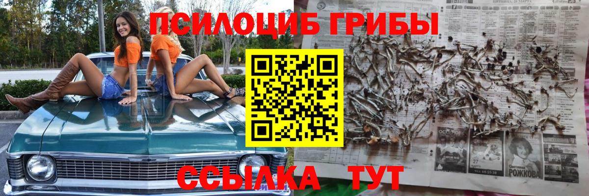 Псилоцибиновые грибы прущие грибы Новый Уренгой