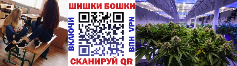 где купить наркоту  Новый Уренгой  Шишки марихуана OG Kush 